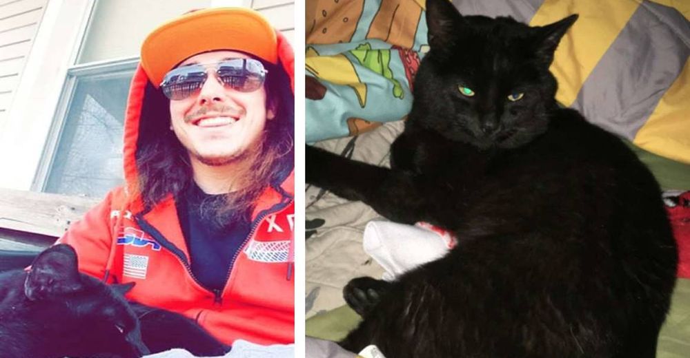 El gato «muerto» por el que lloraron en un desgarrador funeral regresa vivo a casa horas después El gato «muerto» por el que lloraron en un desgarrador funeral regresa vivo a casa horas después