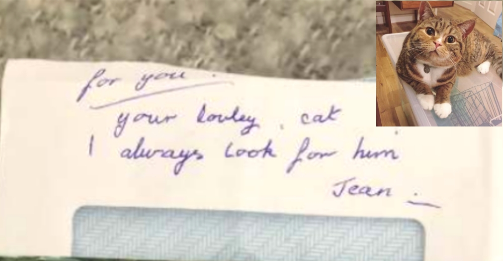 La historia de Chips, el gato que recibió una carta de una admiradora secreta y se hizo viral La historia de Chips, el gato que recibió una carta de una admiradora secreta y se hizo viral