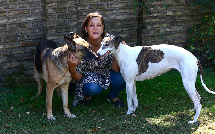 Arizona galgo Argentina