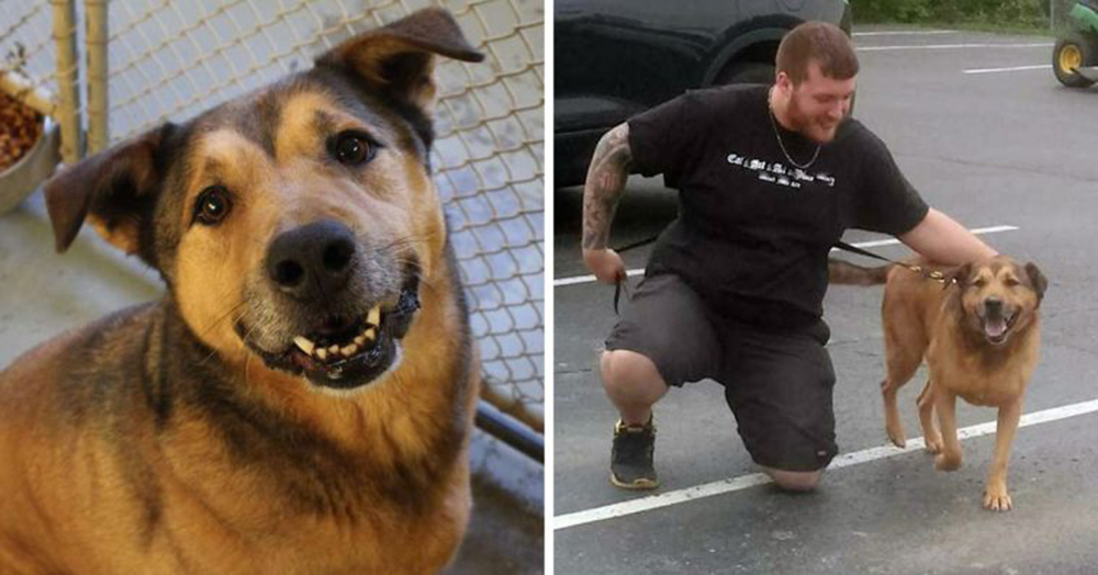 Permanece 2381 días en un refugio, a punto de perder la esperanza ve su sueño hecho realidad