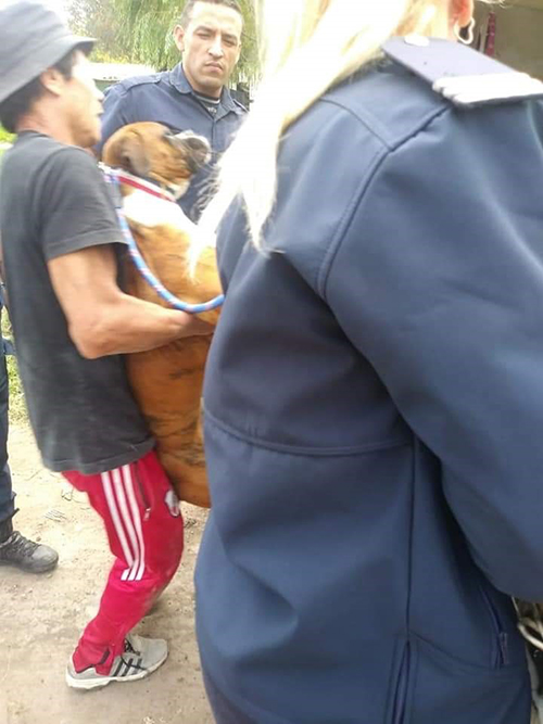 Mujer policía salva perro