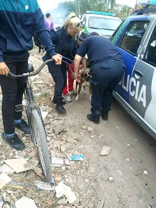 Mujer policía salva perro