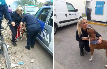 Mujer policía salva perro