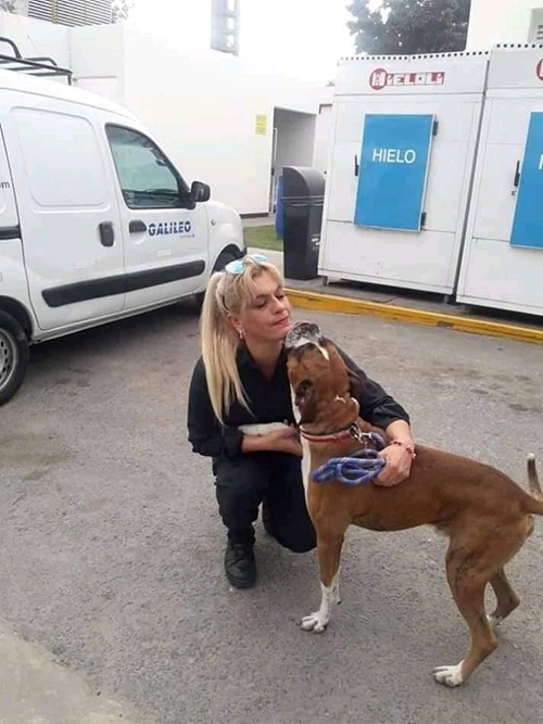 Mujer policía salva perro