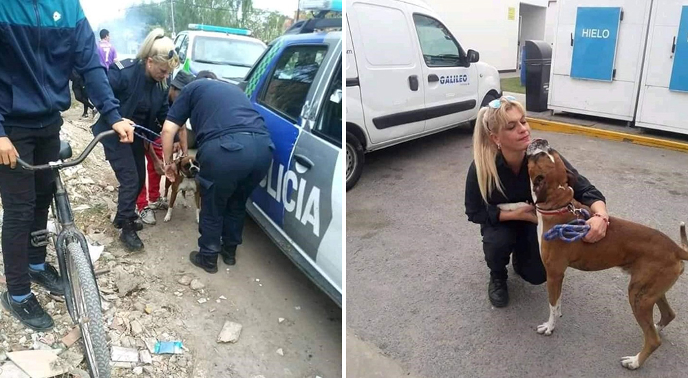 Mujer policía salva perro