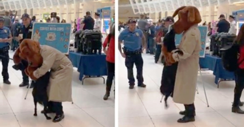 Perrito policía conoce a su héroe en carne y hueso y no puede más de la felicidad