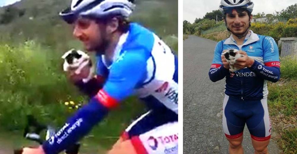 Un ciclista escucha unos maullidos a la distancia y decide detenerse para ayudar Un ciclista escucha unos maullidos a la distancia y decide detenerse para ayudar