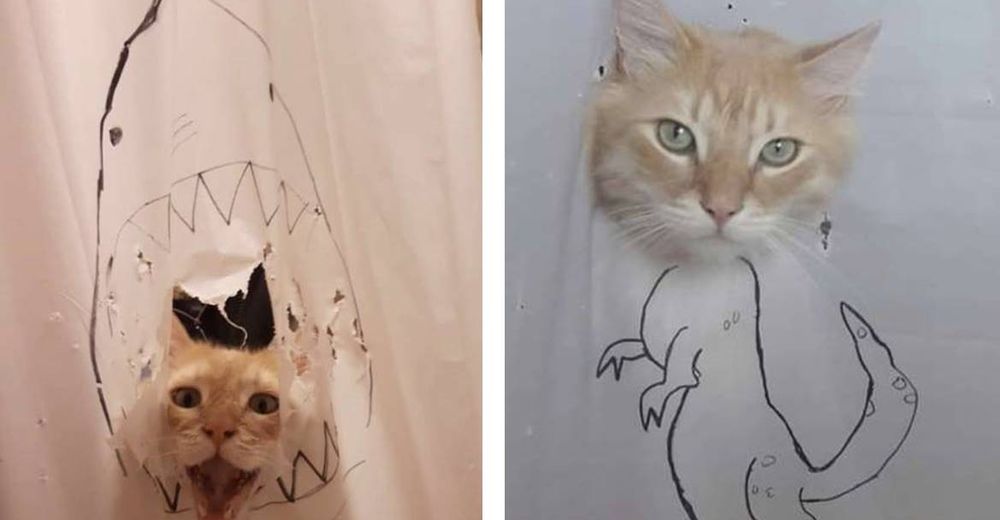 Una mujer crea un nuevo dibujo cada vez que su gato destruye una cortina de ducha
