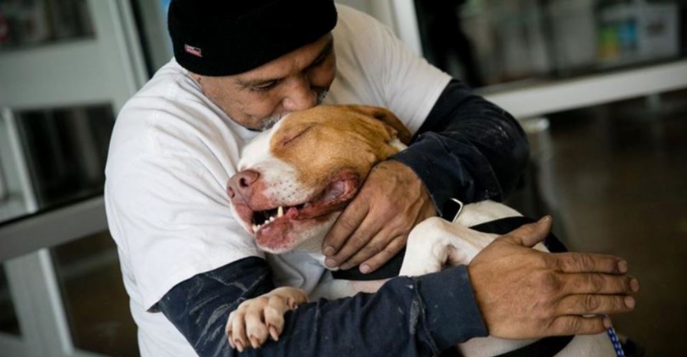 Cumplió su promesa y volvió adoptar a su perro tras haber sido obligado a dejarlo en el refugio