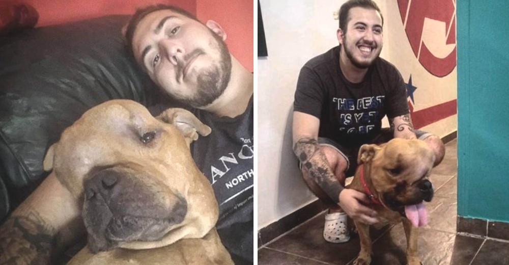 Hombre adopta a un perro con un tumor para que viviera sus últimos momentos sintiéndose amado