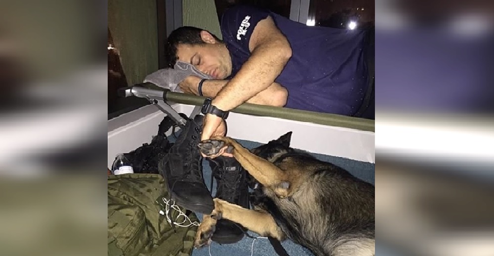 Oficial se queda dormido sosteniendo la patita de su fiel compañero canino tras una dura jornada Oficial se queda dormido sosteniendo la patita de su fiel compañero canino tras una dura jornada