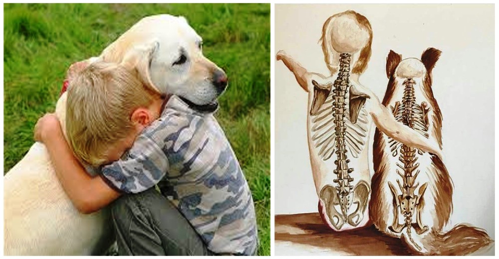 Un niño acompaña a su perro en su último suspiro y su reflexión al veterinario emociona al mundo