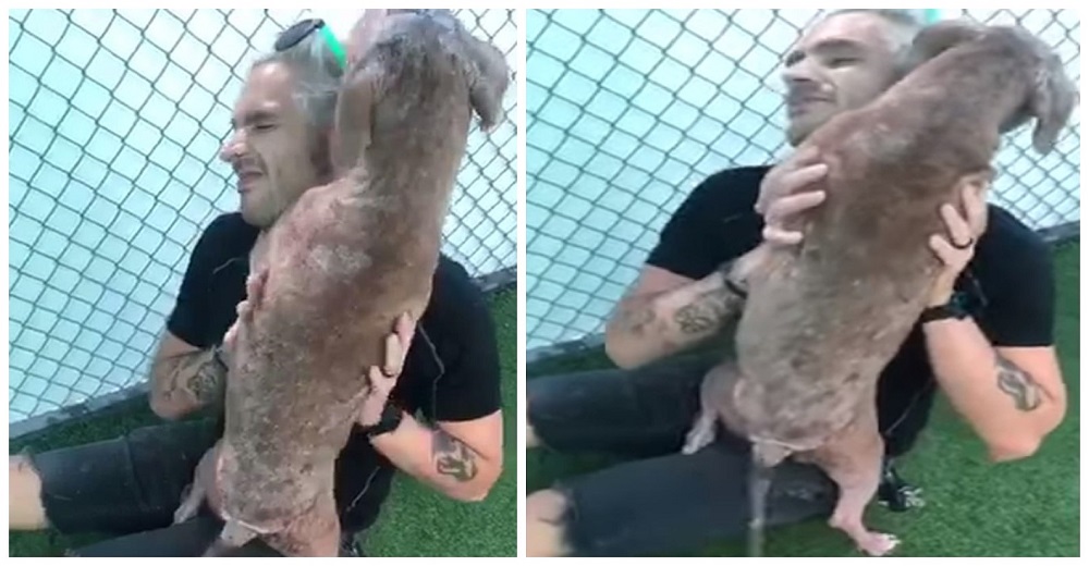 Perrita se aferra a su posible nueva familia y no dejará de hacerlo hasta que firmen los papeles Perrita se aferra a su posible nueva familia y no dejará de hacerlo hasta que firmen los papeles