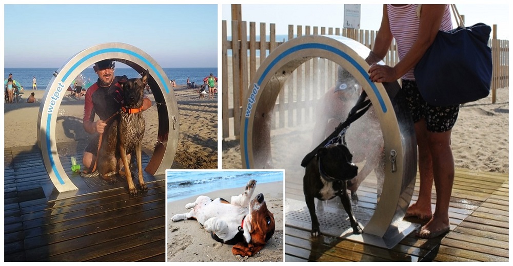 Una playa estrena duchas especiales para facilitar el aseo y cuidado de los perritos turistas Una playa estrena duchas especiales para facilitar el aseo y cuidado de los perritos turistas