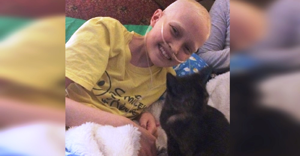 La conmovedora historia de una niña con cáncer y la gatita que llegó para aliviar sus penas
