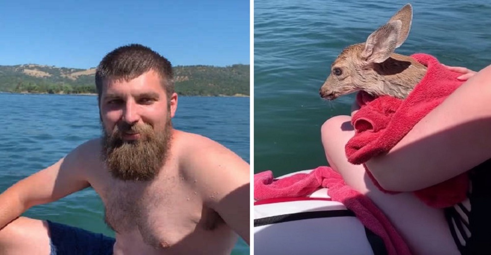 Se lanza al agua para salvar a un pequeño bebé que luchaba para no ahogarse en el lago Se lanza al agua para salvar a un pequeño bebé que luchaba para no ahogarse en el lago