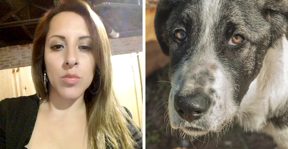 Denuncian que reconocida animalista rescata perros sólo para darles malos tratos Denuncian que reconocida animalista rescata perros sólo para darles malos tratos