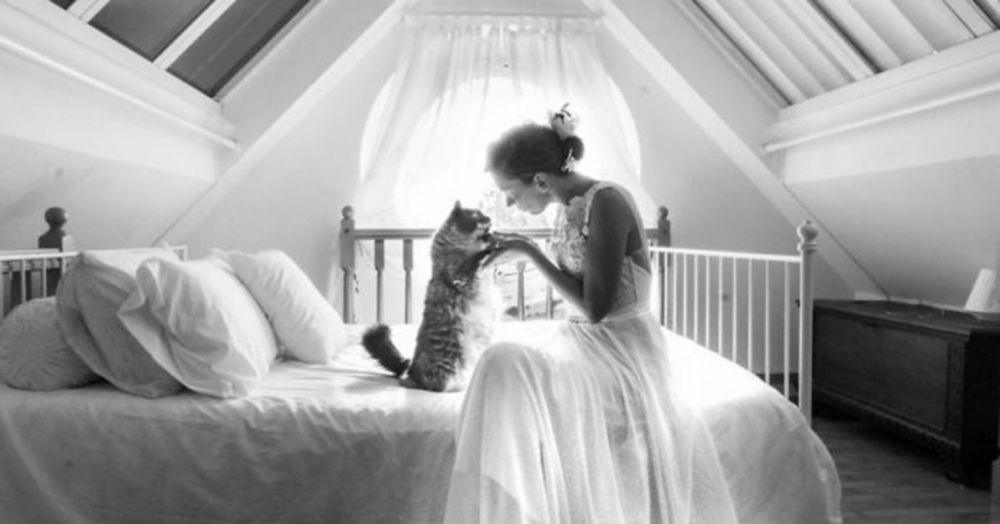 Publica una adorable sesión de fotos postboda con un invitado muy especial y se hace viral Publica una adorable sesión de fotos postboda con un invitado muy especial y se hace viral