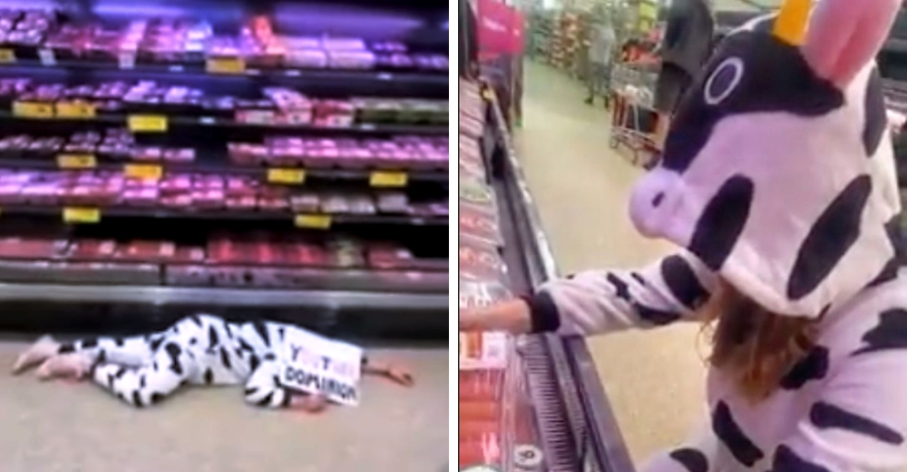 Irrumpe en un centro comercial vestida de vaca y rompe a llorar frente a la carne Irrumpe en un centro comercial vestida de vaca y rompe a llorar frente a la carne