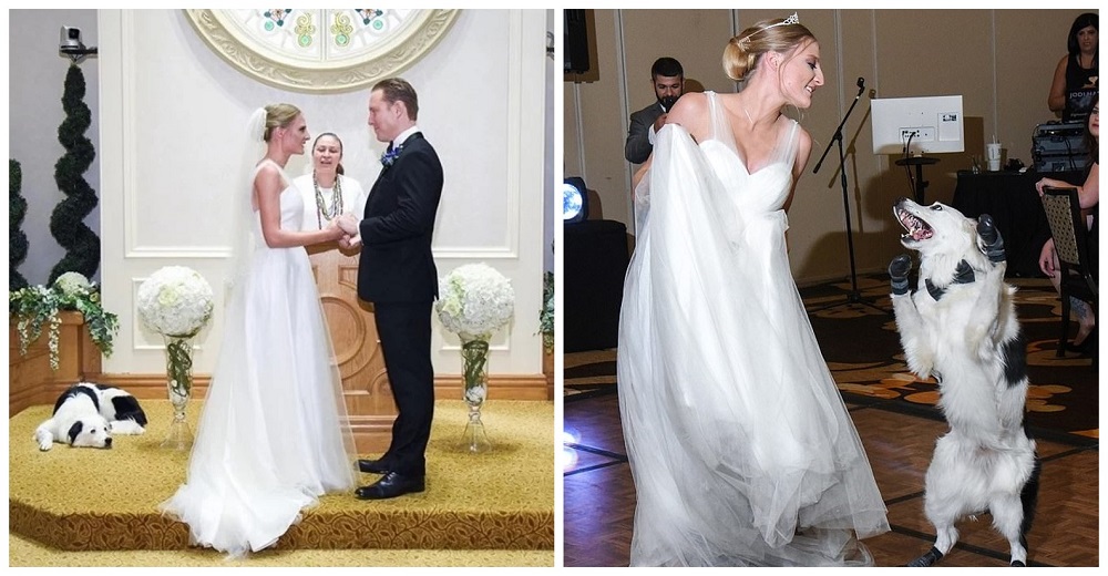Sorprende a sus invitados con una adorable pareja de baile en el día de su boda y se hace viral Sorprende a sus invitados con una adorable pareja de baile en el día de su boda y se hace viral
