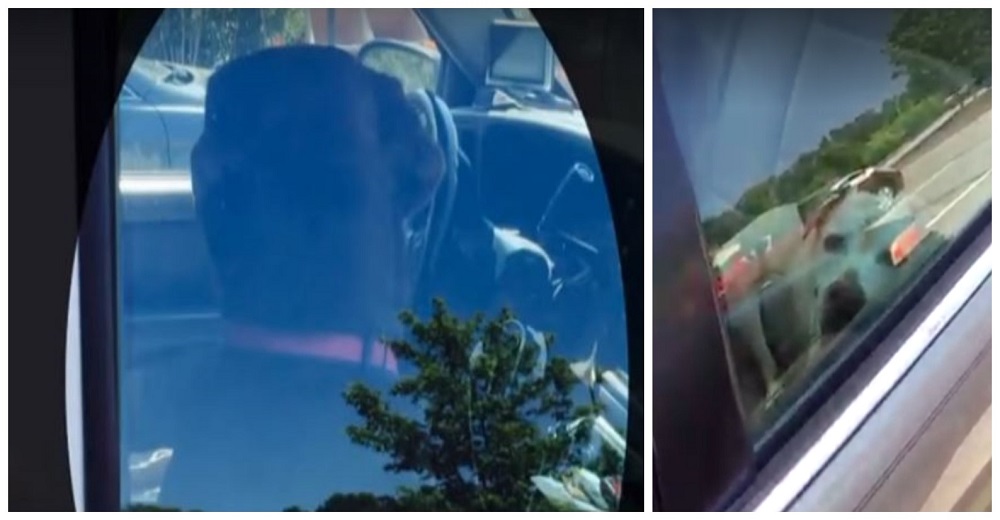 Policías rescatan a dos perros sofocados en autos que alcanzaron los 65 grados Policías rescatan a dos perros sofocados en autos que alcanzaron los 65 grados