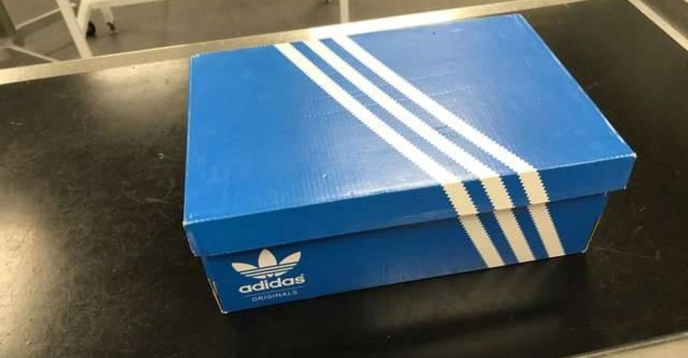Un hombre encuentra en el interior de una caja de zapatos una gatita recién nacida Un hombre encuentra en el interior de una caja de zapatos una gatita recién nacida
