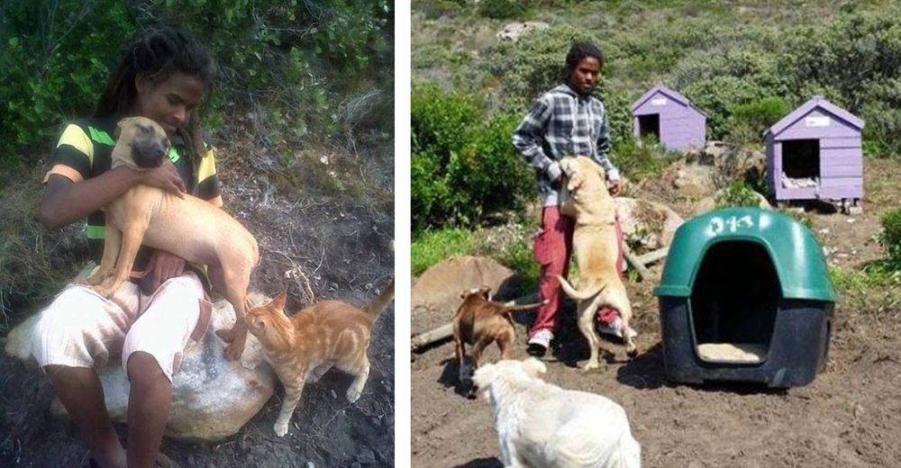 Lo echaron de su casa por ayudar animales abandonados y ahora tiene la mejor familia canina