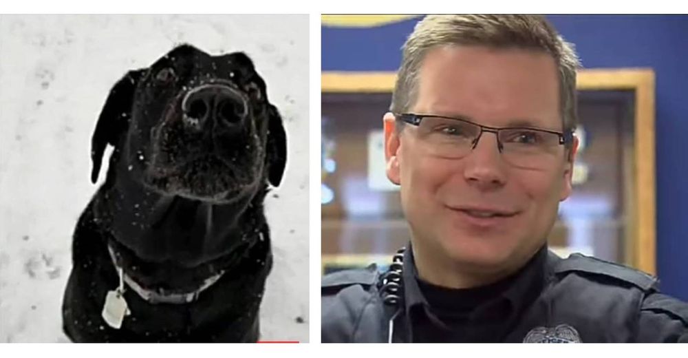 Un perrito da señales de alerta a un oficial de policía con la esperanza de que lo siguiera