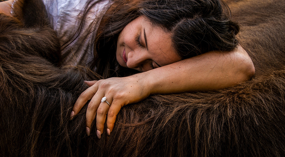 «Las caricias de las vacas» – La singular terapia emocional para humanos que muchos ignoran «Las caricias de las vacas» – La singular terapia emocional para humanos que muchos ignoran