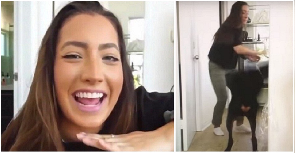 Una youtuber publica por error un cruel video en el que somete a su perro al peor trato Una youtuber publica por error un cruel video en el que somete a su perro al peor trato