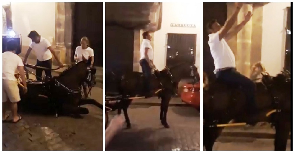 Denuncian el indignante trato de un cochero a su caballo herido tras colapsar por agotamiento Denuncian el indignante trato de un cochero a su caballo herido tras colapsar por agotamiento