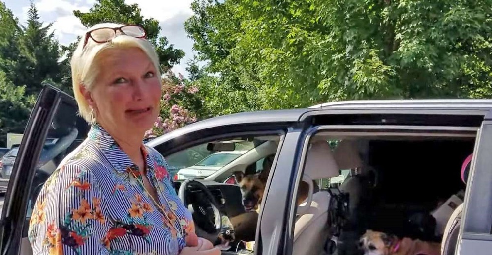 Una mujer pide adoptar a los 2 perritos más enfermos y que llevaran más tiempo en el refugio Una mujer pide adoptar a los 2 perritos más enfermos y que llevaran más tiempo en el refugio