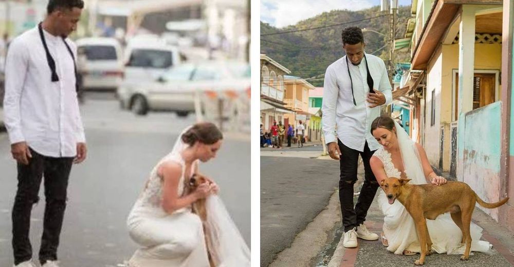Jugador de la NFL y su esposa donan todo lo recaudado en su boda para perritos callejeros