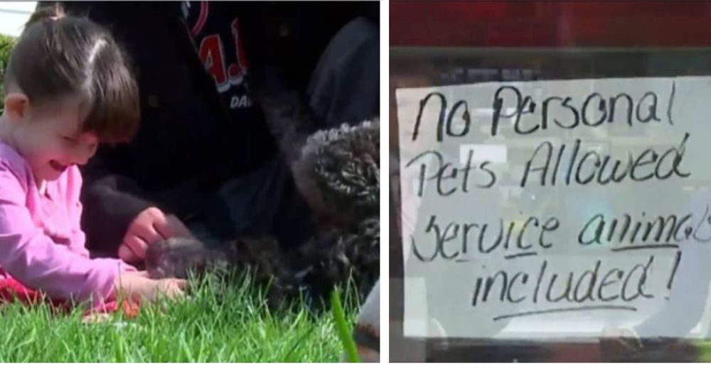 Le proh铆ben la entrada a una tienda de mascotas al perrito de servicio de una ni帽a con autismo Le proh铆ben la entrada a una tienda de mascotas al perrito de servicio de una ni帽a con autismo