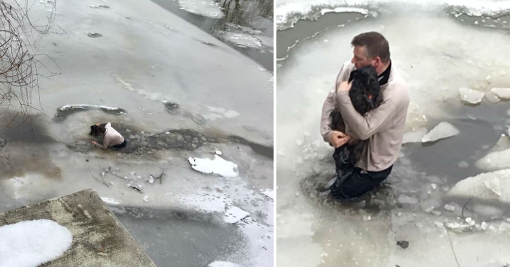 Un hombre salta a un lago congelado para salvar la vida de un perrito que ni siquiera conocía