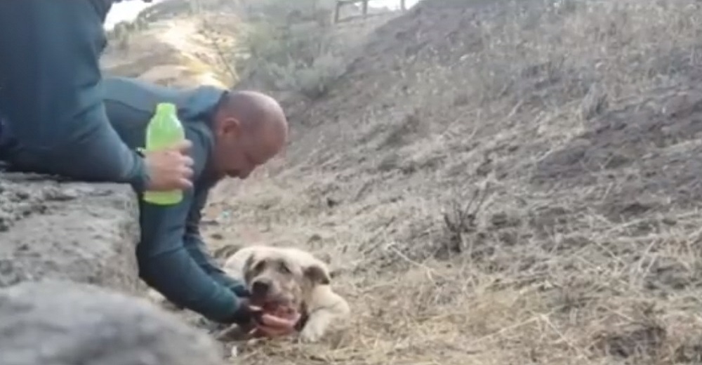 El acto de 2 policías con el «último vecino» olvidado en un incendio se hace viral