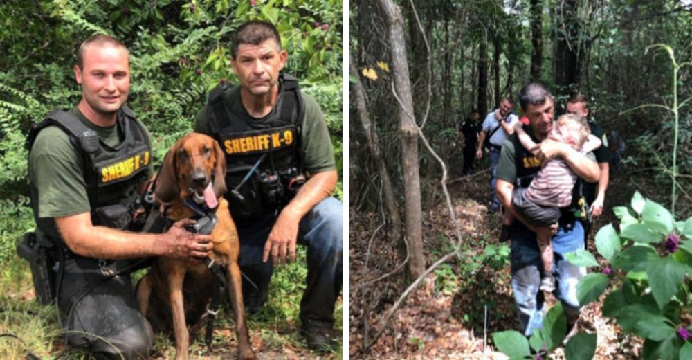 Un heroico perro policía logra encontrar en menos de 30 minutos a un niño autista desaparecido Un heroico perro policía logra encontrar en menos de 30 minutos a un niño autista desaparecido