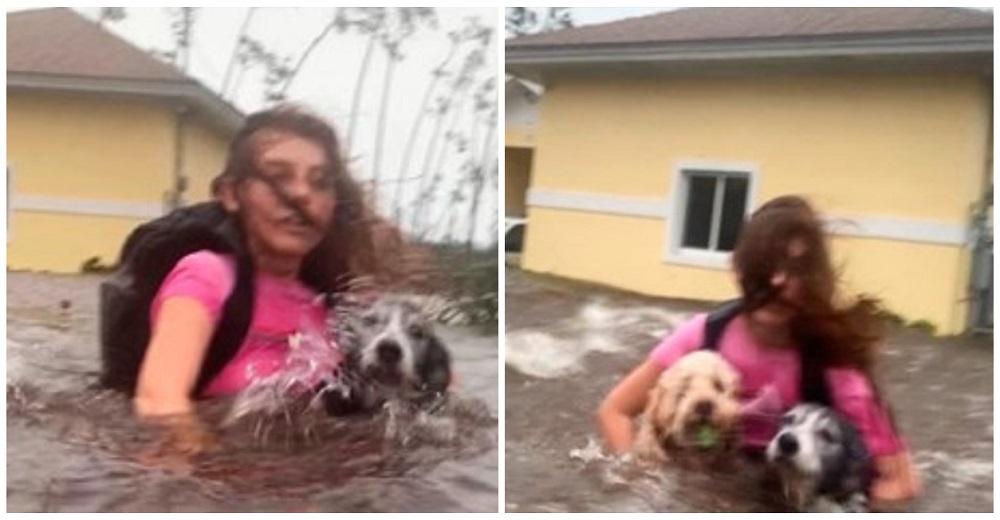 Abraza a sus 3 perros con todas sus fuerzas mientras huyen durante un huracán, jamás los dejaría