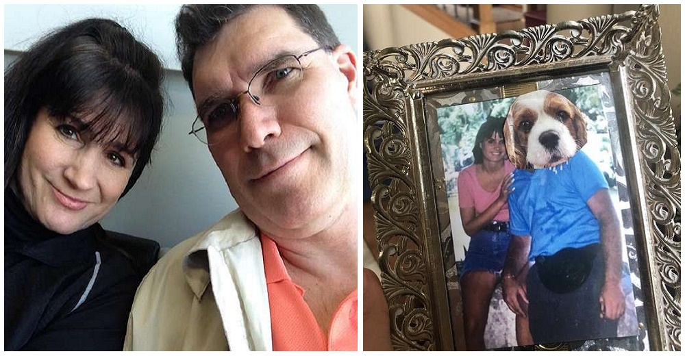 Reemplaza a su esposo por un perro en todas las fotografías hasta que él acepte su petición Reemplaza a su esposo por un perro en todas las fotografías hasta que él acepte su petición
