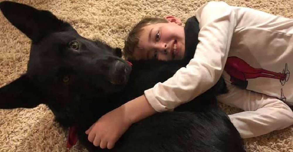 Un extraño conduce miles de kilómetros para que un niño con cáncer se reúna con su perro