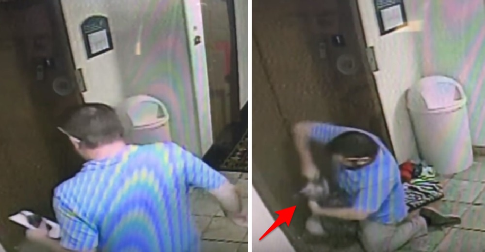 Un aterrado perrito se queda fuera del ascensor mientras su dueño subía con parte de su correa Un aterrado perrito se queda fuera del ascensor mientras su dueño subía con parte de su correa
