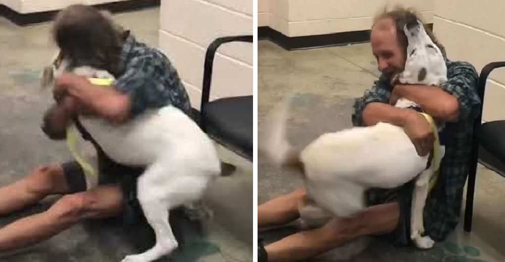 Un hombre sin hogar pierde a su amado perro y el reencuentro entre ambos emociona al mundo Un hombre sin hogar pierde a su amado perro y el reencuentro entre ambos emociona al mundo