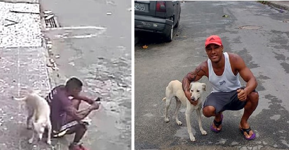 Un perro se hace pis sobre un extraño y contra todo pronóstico se convierte en su nueva familia Un perro se hace pis sobre un extraño y contra todo pronóstico se convierte en su nueva familia