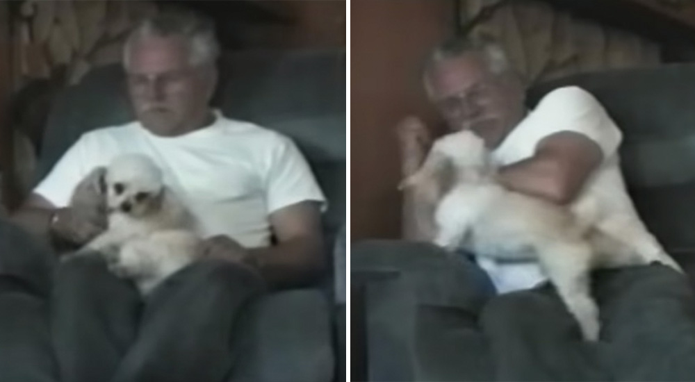 La divertida reacción de un perrito cuando le acusan de que tiene pulgas La divertida reacción de un perrito cuando le acusan de que tiene pulgas