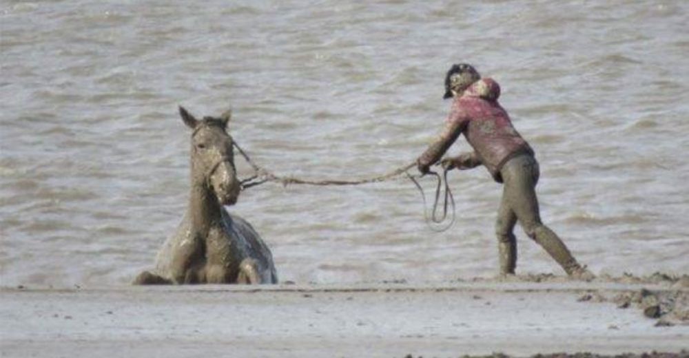 Corren contra la marea creciente para salvar a un caballo atrapado en un lugar imposible Corren contra la marea creciente para salvar a un caballo atrapado en un lugar imposible