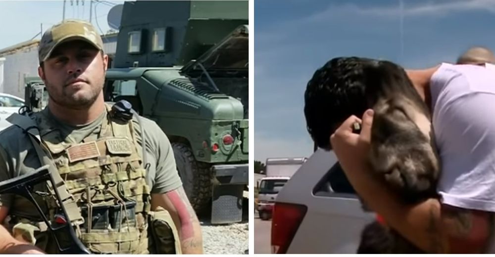 Después de un mes de no rendirse un soldado logra llevar a casa al perro que adoptó en la guerra Después de un mes de no rendirse un soldado logra llevar a casa al perro que adoptó en la guerra