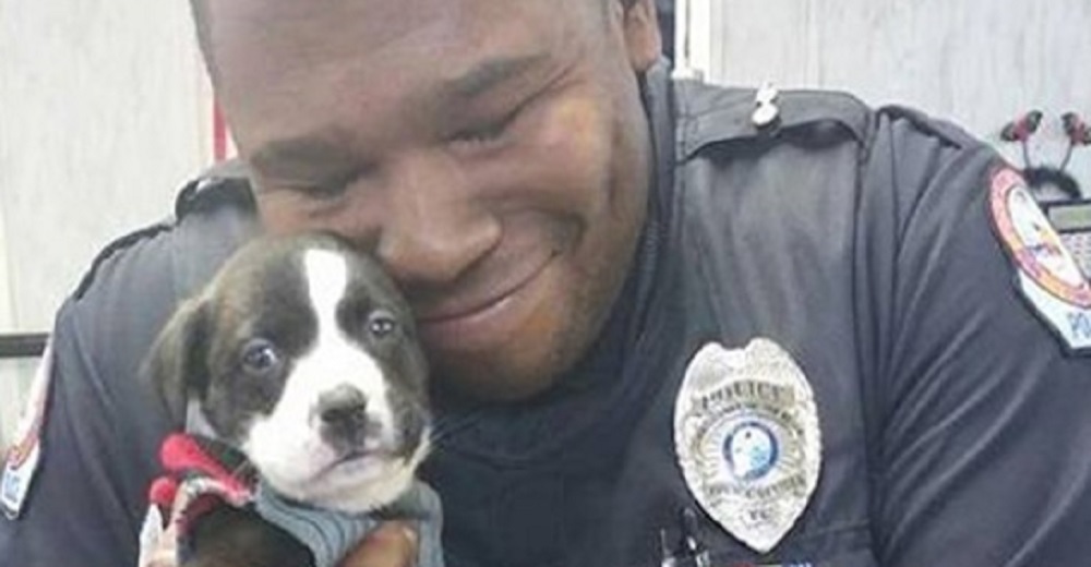 Policía se enamora perdidamente de un cachorrito abandonado y decide llevárselo a casa