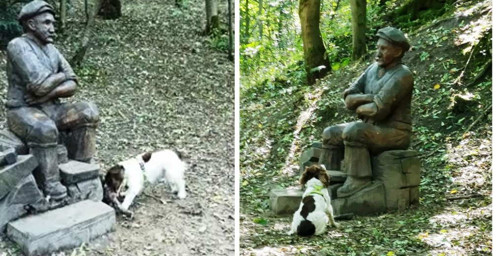 Adorable cachorro no entiende por qué el «hombre sentado» en el camino se niega a jugar con él Adorable cachorro no entiende por qué el «hombre sentado» en el camino se niega a jugar con él