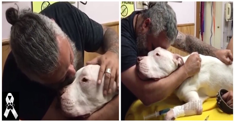 Un «rudo» hombre se rompe al tener que despedir a su perro con el que ha vivido durante 14 años Un «rudo» hombre se rompe al tener que despedir a su perro con el que ha vivido durante 14 años