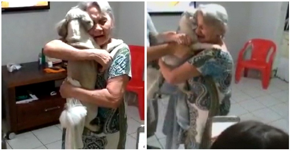 Abuela halla a su perro perdido, se emocionó tanto que tuvo que tomar pastillas para la presión